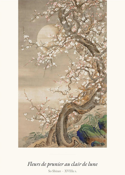 Fleurs de prunier au clair de lune, So Shizan, l'affiche seule, papier épais mat éco-responsable
