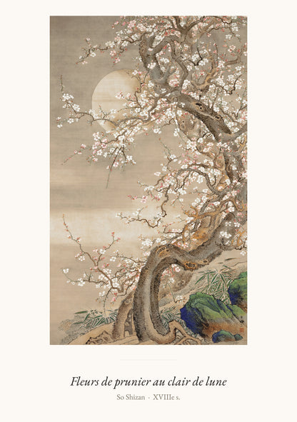 Fleurs de prunier au clair de lune, So Shizan | Affiche Art Premium