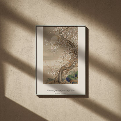 Fleurs de prunier au clair de lune, So Shizan, affiche encadrée sur un mur beige, ombres de fenêtre