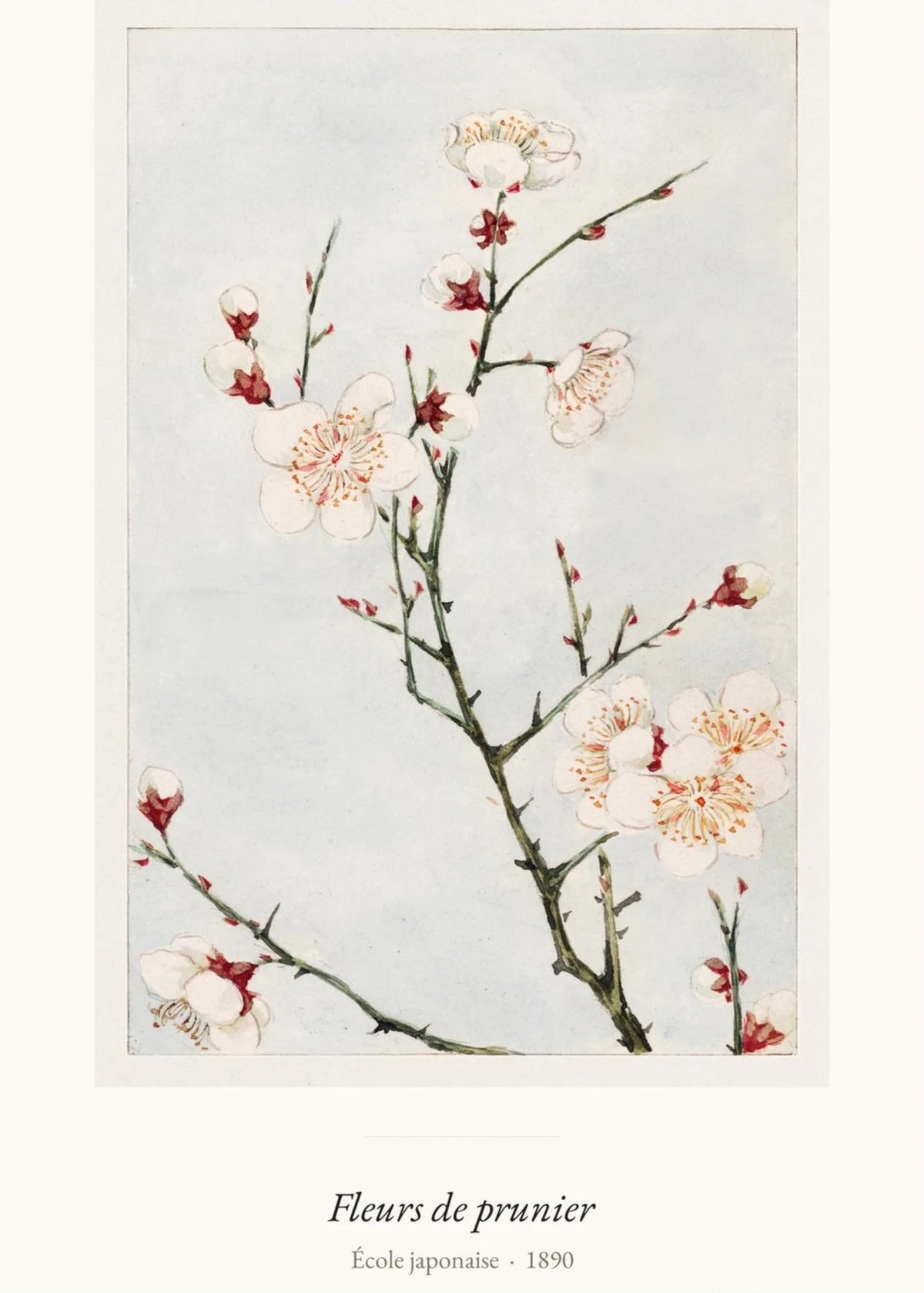 Fleurs de prunier, École japonaise, l'affiche seule, papier épais mat éco-responsable