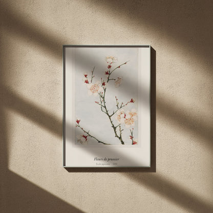 Fleurs de prunier, École japonaise, affiche encadrée sur un mur beige, ombres de fenêtre