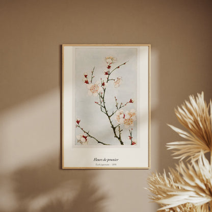 Fleurs de prunier, École japonaise, affiche encadrée sur un mur beige, pampas au premier plan