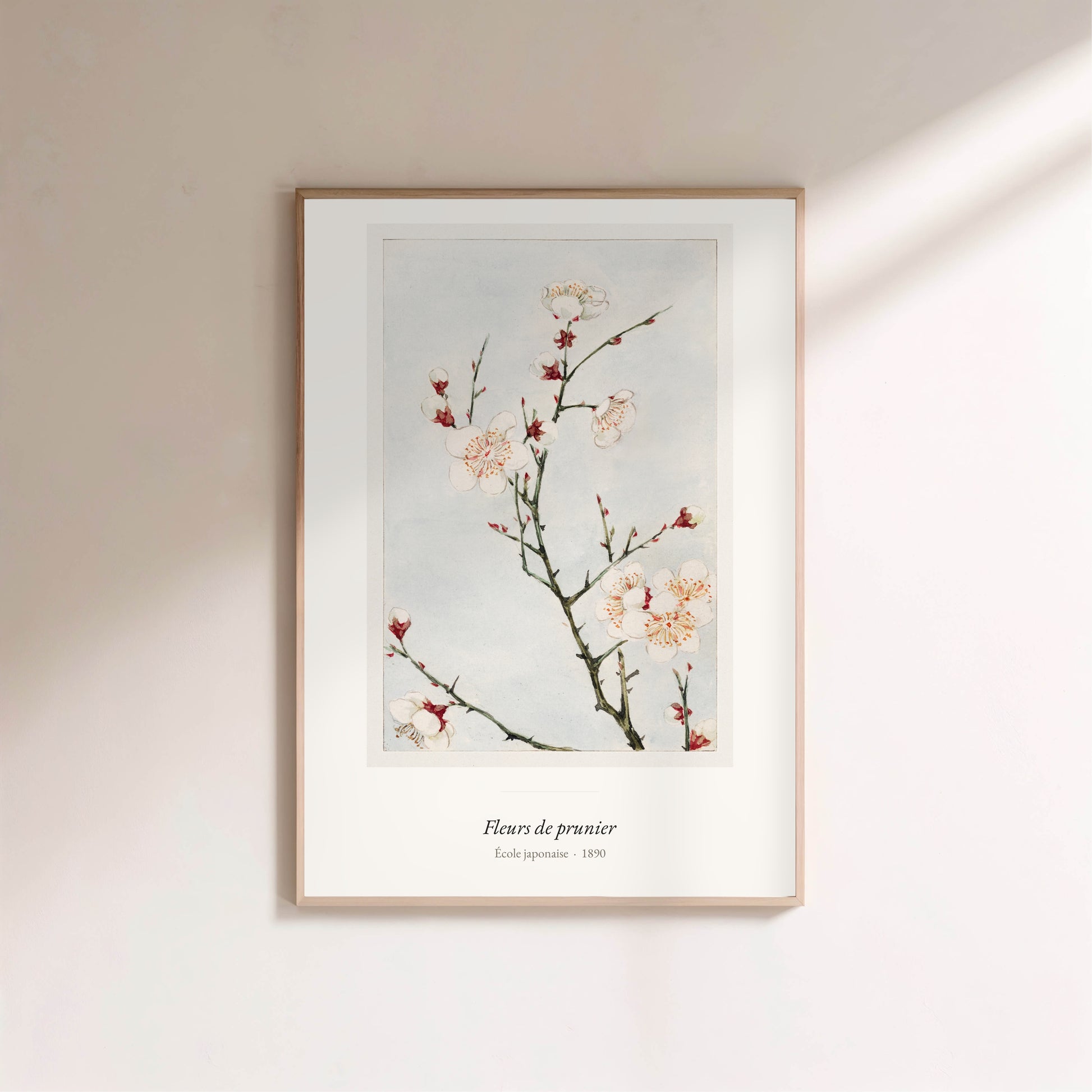 Fleurs de prunier, École japonaise | Affiche Art Premium en situation