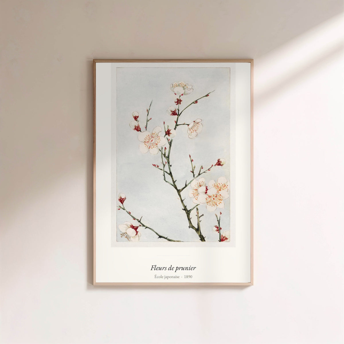 Fleurs de prunier, École japonaise, affiche encadrée sur un mur clair