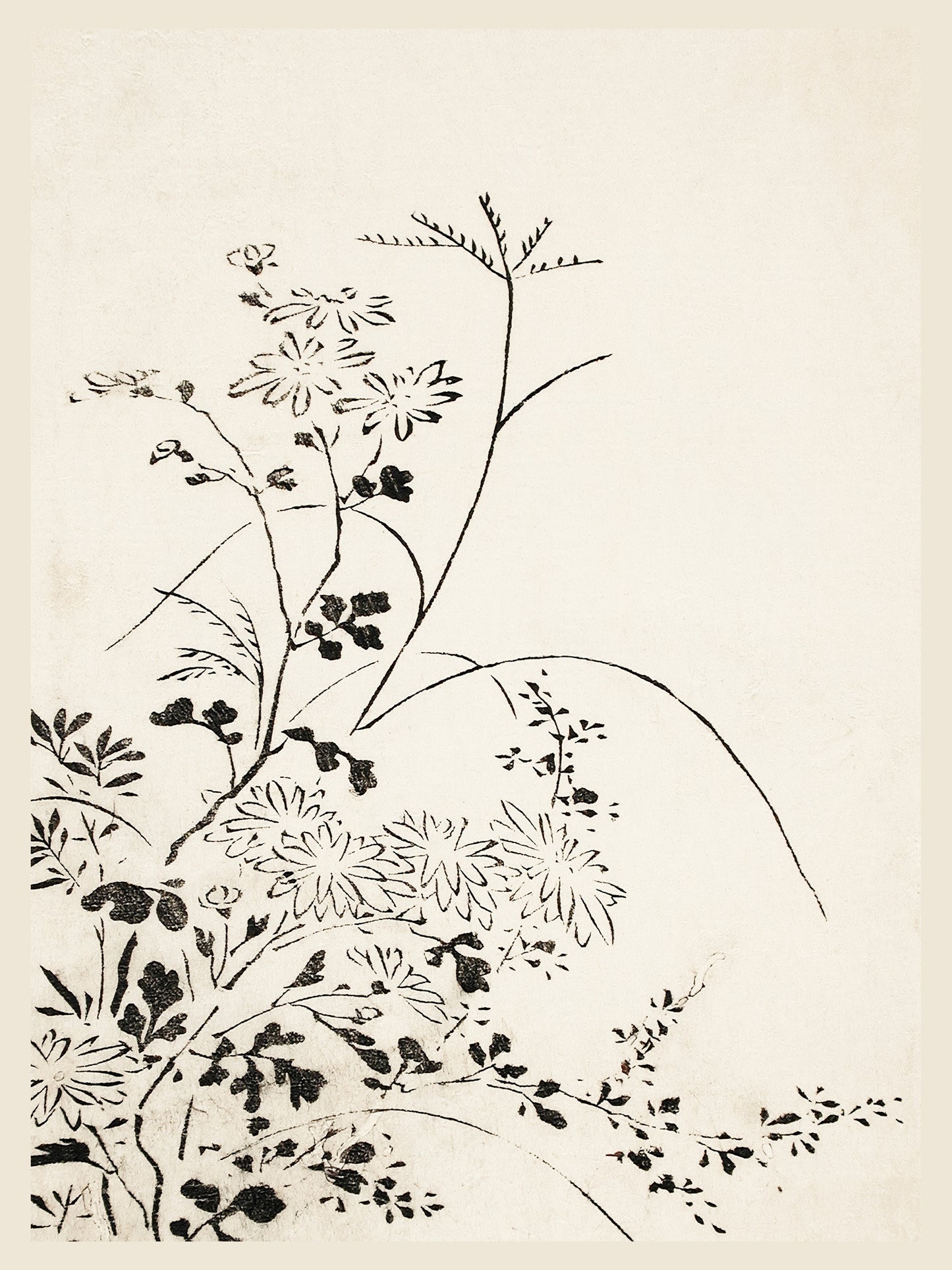 Fleurs Sauvages - Estampe Japonaise à l'Encre - Art du Japon