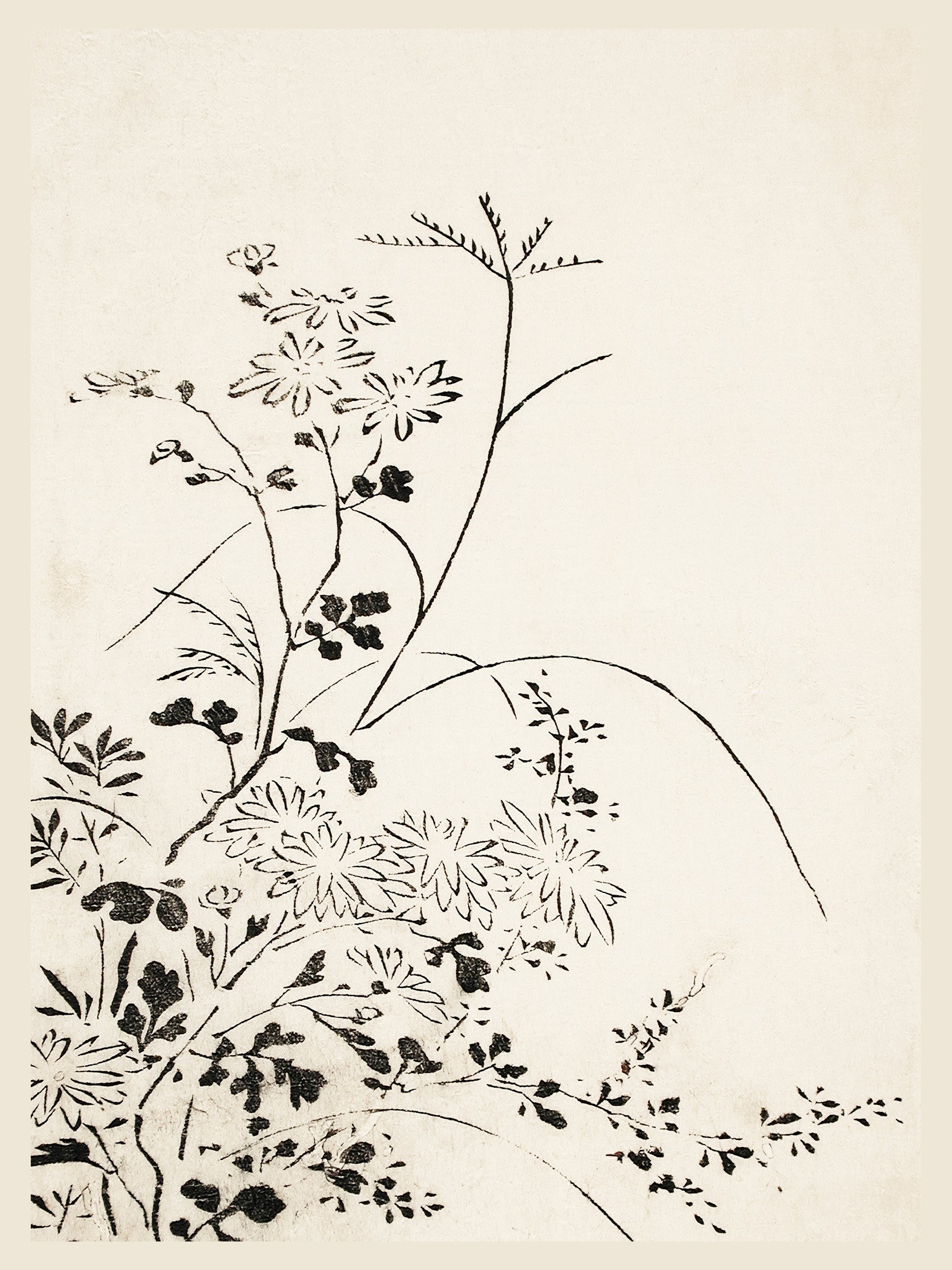 Fleurs Sauvages - Estampe Japonaise à l'Encre - Art du Japon