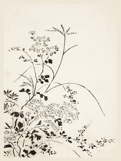 Fleurs Sauvages - Estampe Japonaise à l'Encre - Art du Japon