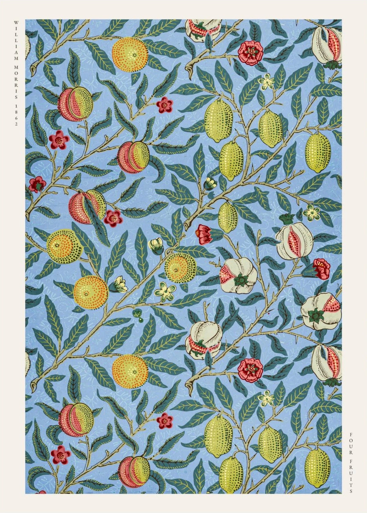 Four Fruits - William Morris - Affiche Arts & Crafts, l'affiche seule, papier épais mat éco-responsable