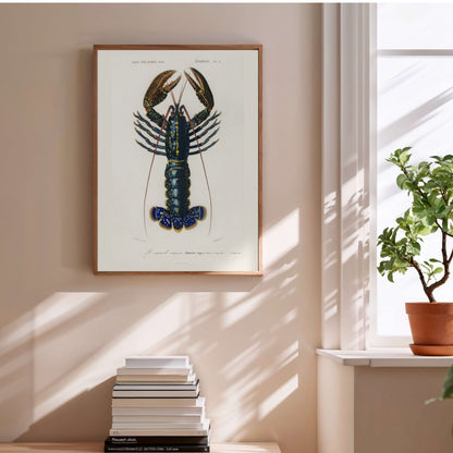 Homard Commun - Illustration Naturaliste XIXe - Affiche Sciences Naturelles en situation