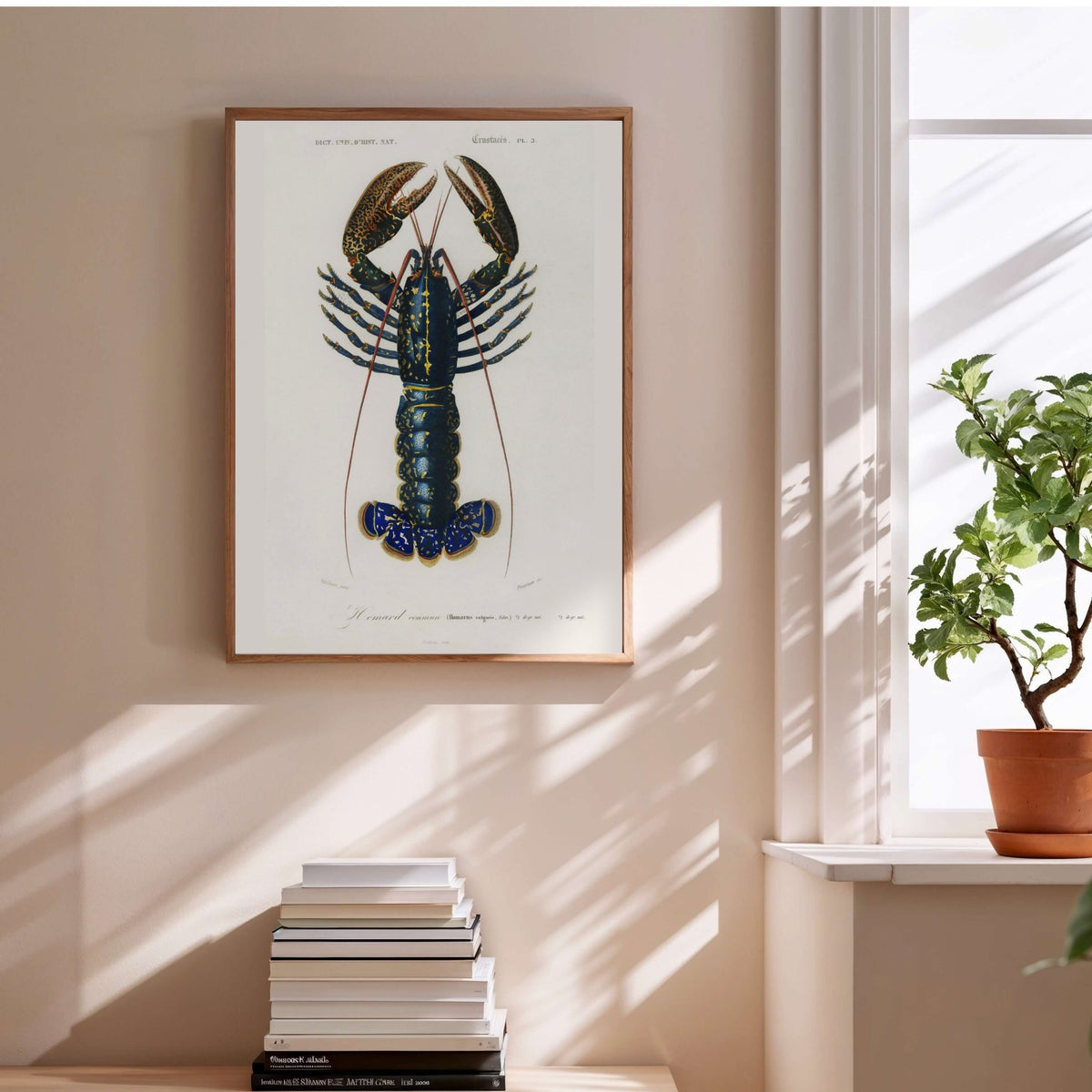 Homard Commun - Illustration Naturaliste - Affiche Sciences, affiche encadrée au-dessus d'une pile de livres