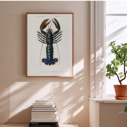 Homard Commun - Illustration Naturaliste - Affiche Sciences, affiche encadrée au-dessus d'une pile de livres