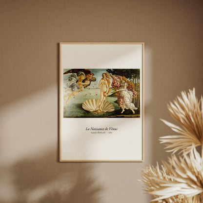 La Naissance de Vénus, Botticelli | Affiche Art Premium, affiche encadrée sur un mur beige, pampas au premier plan