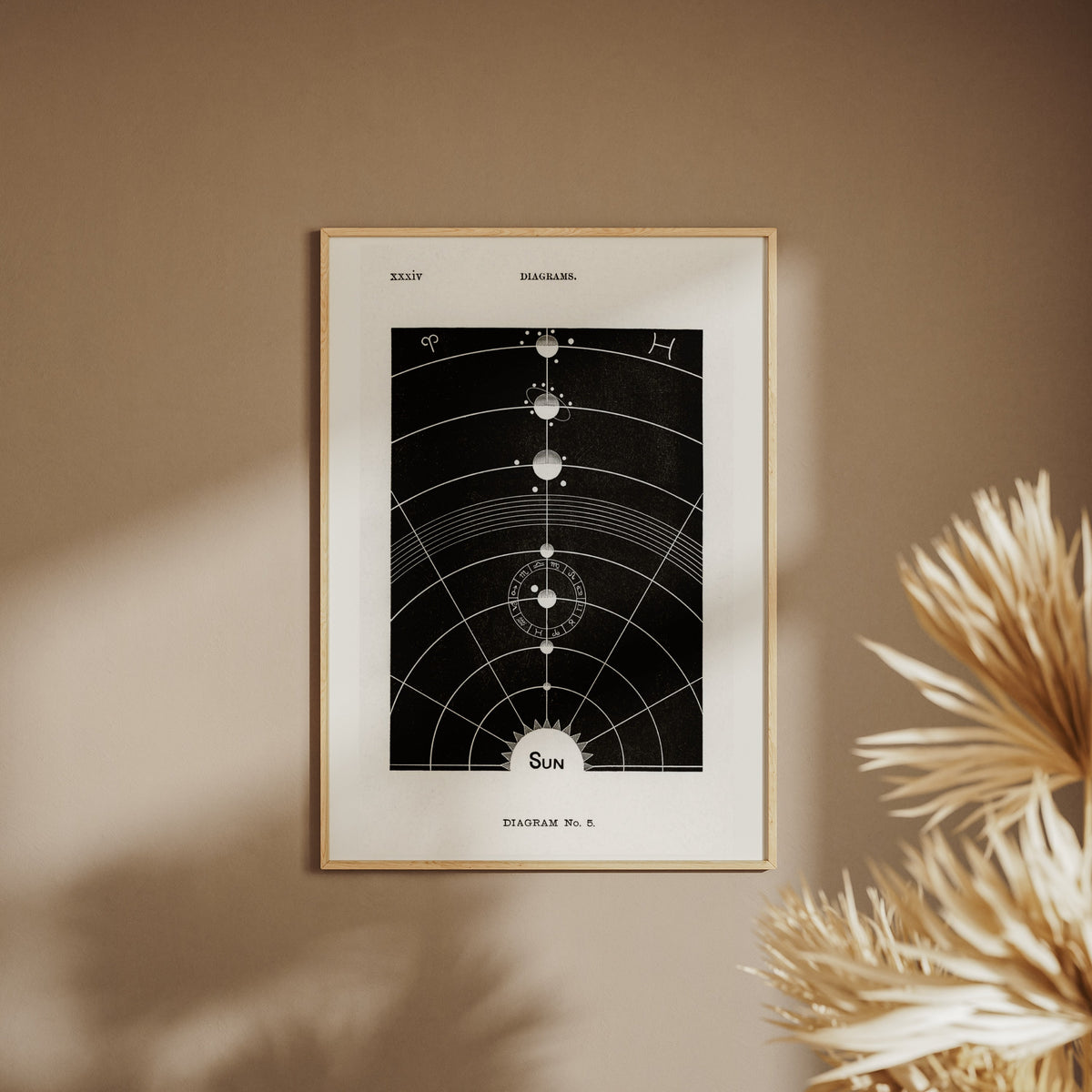 The Sun - Diagram No.5 - Vintage Astronomy Poster, framed poster on a beige wall, pampas grass in the foreground