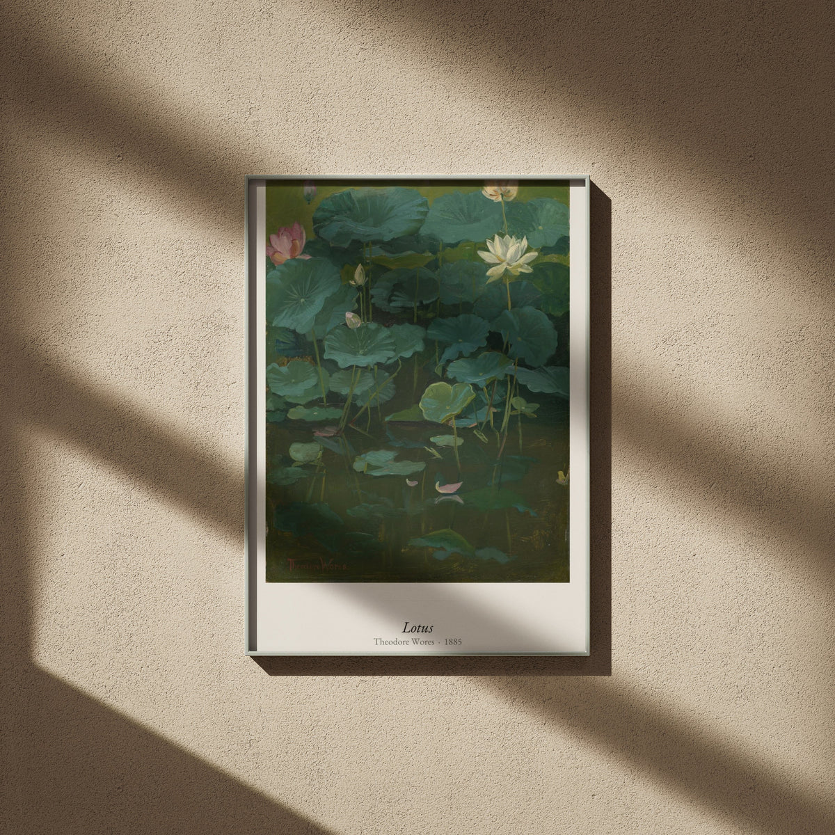 Lotus, Theodore Wores | Affiche Art Premium, affiche encadrée sur un mur beige, ombres de fenêtre