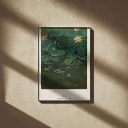 Lotus, Theodore Wores | Affiche Art Premium, affiche encadrée sur un mur beige, ombres de fenêtre