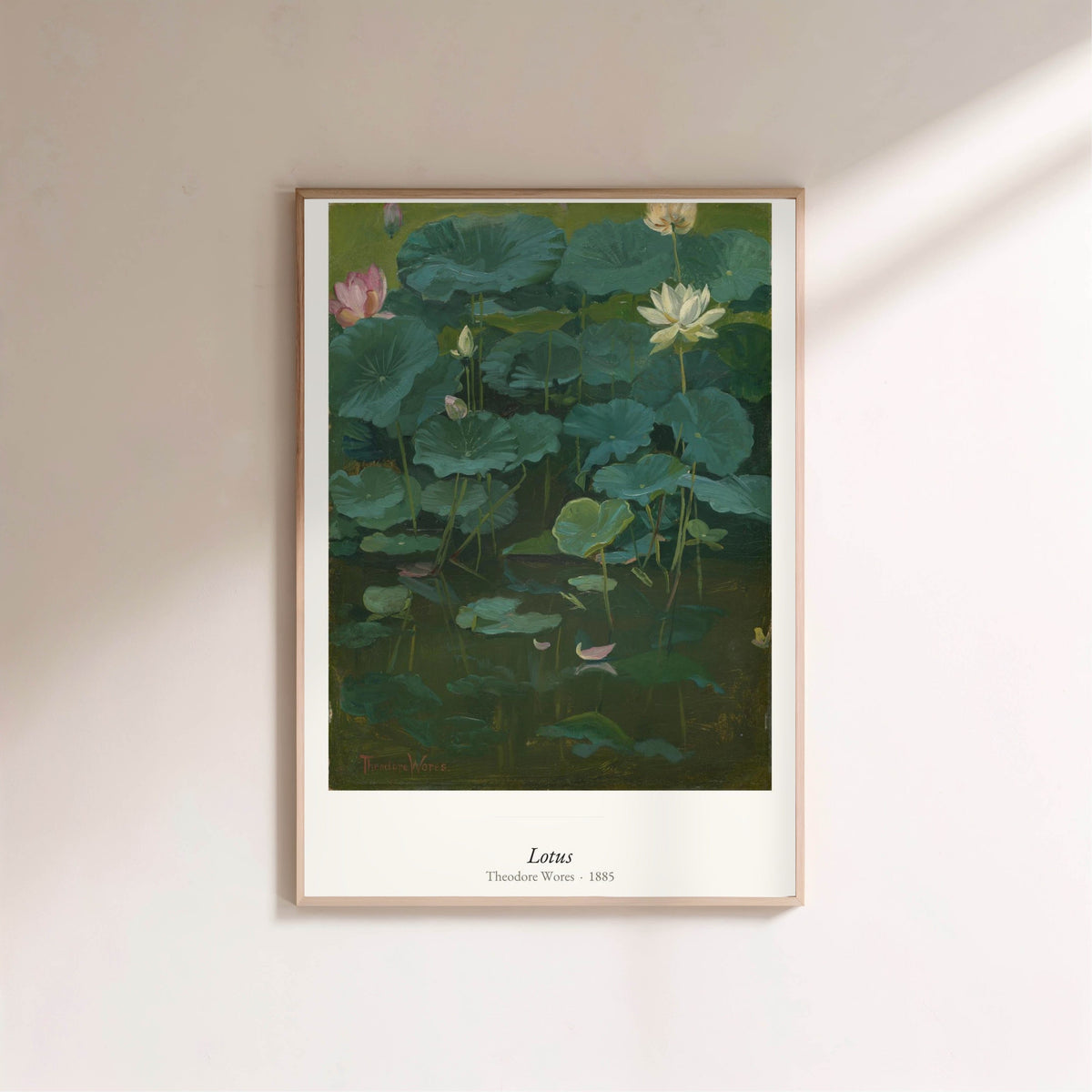Lotus, Theodore Wores | Affiche Art Premium, affiche encadrée sur un mur clair