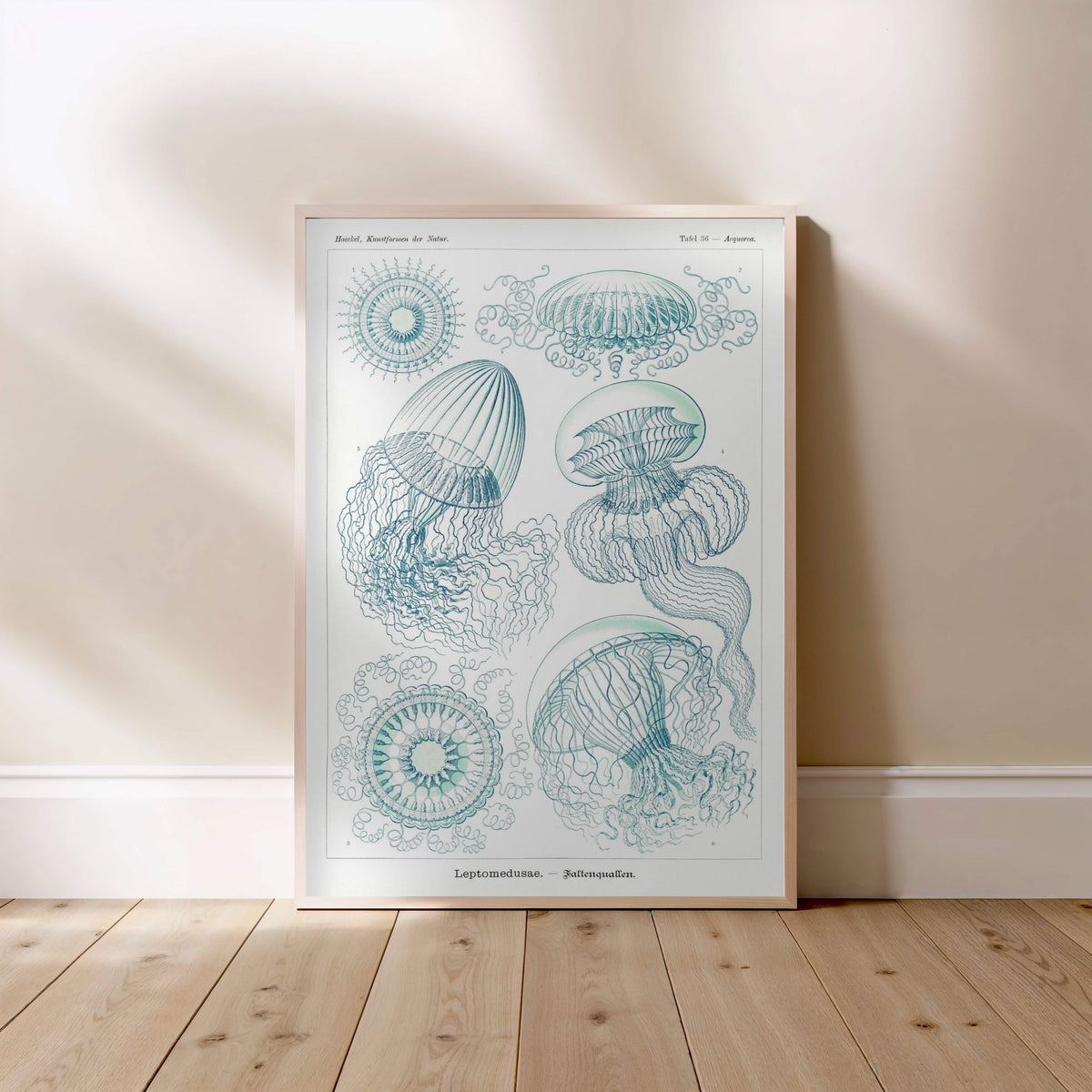 Méduses - Ernst Haeckel - Affiche Kunstformen der Natur, affiche encadrée posée au sol, cadre bois clair