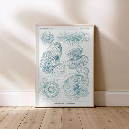 Méduses - Ernst Haeckel - Affiche Kunstformen der Natur, affiche encadrée posée au sol, cadre bois clair