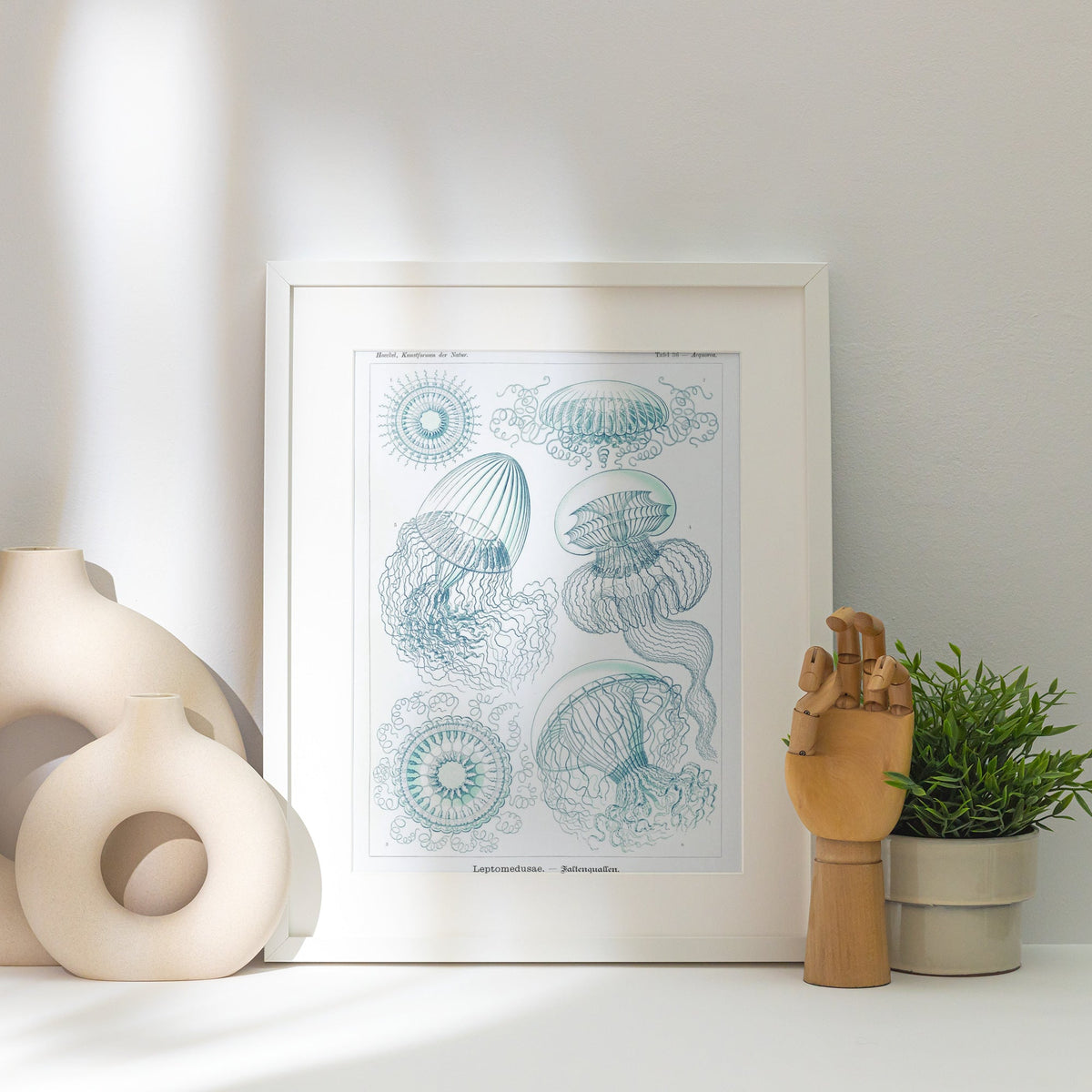 Méduses - Ernst Haeckel - Affiche Kunstformen der Natur, affiche encadrée posée près d'un vase blanc, lumière rasante