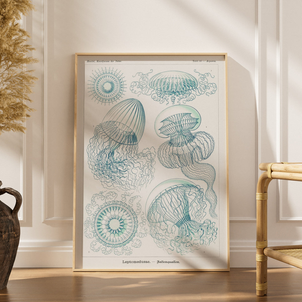 Méduses - Ernst Haeckel - Affiche Kunstformen der Natur, affiche encadrée dans un intérieur élégant, herbes séchées et chaise