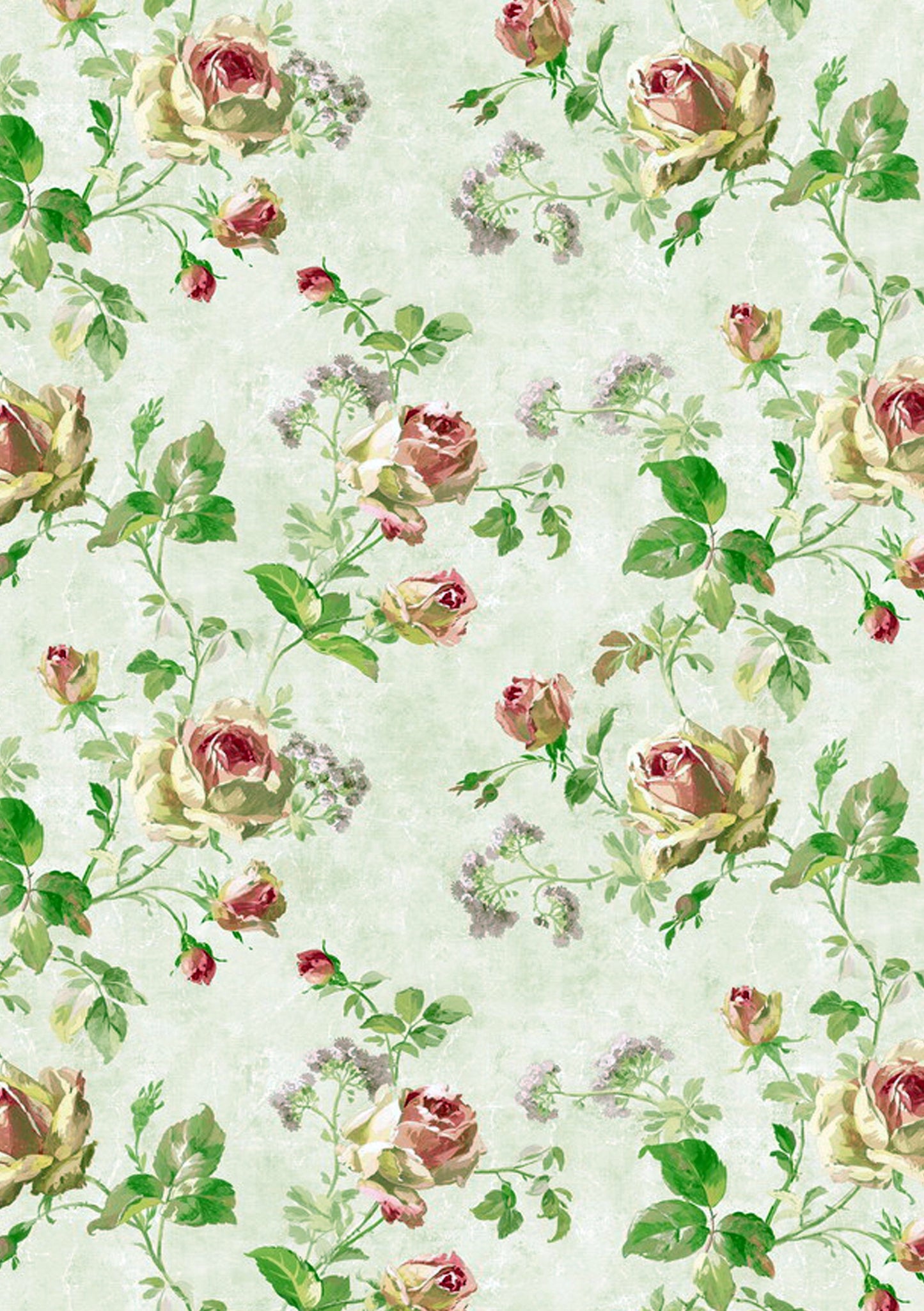 Motif de roses | Affiche Art Botanique Premium