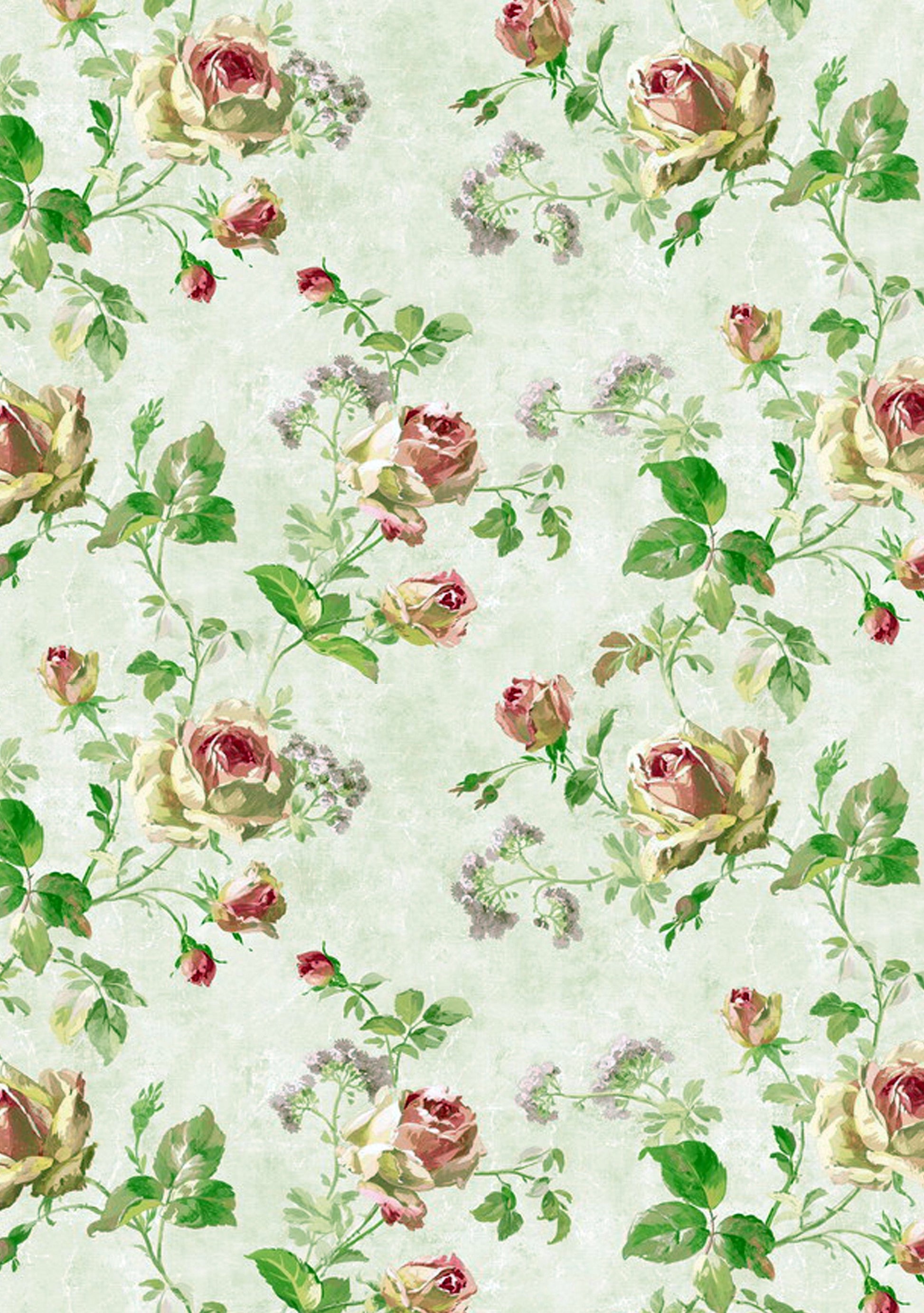 Motif de roses | Affiche Art Botanique Premium