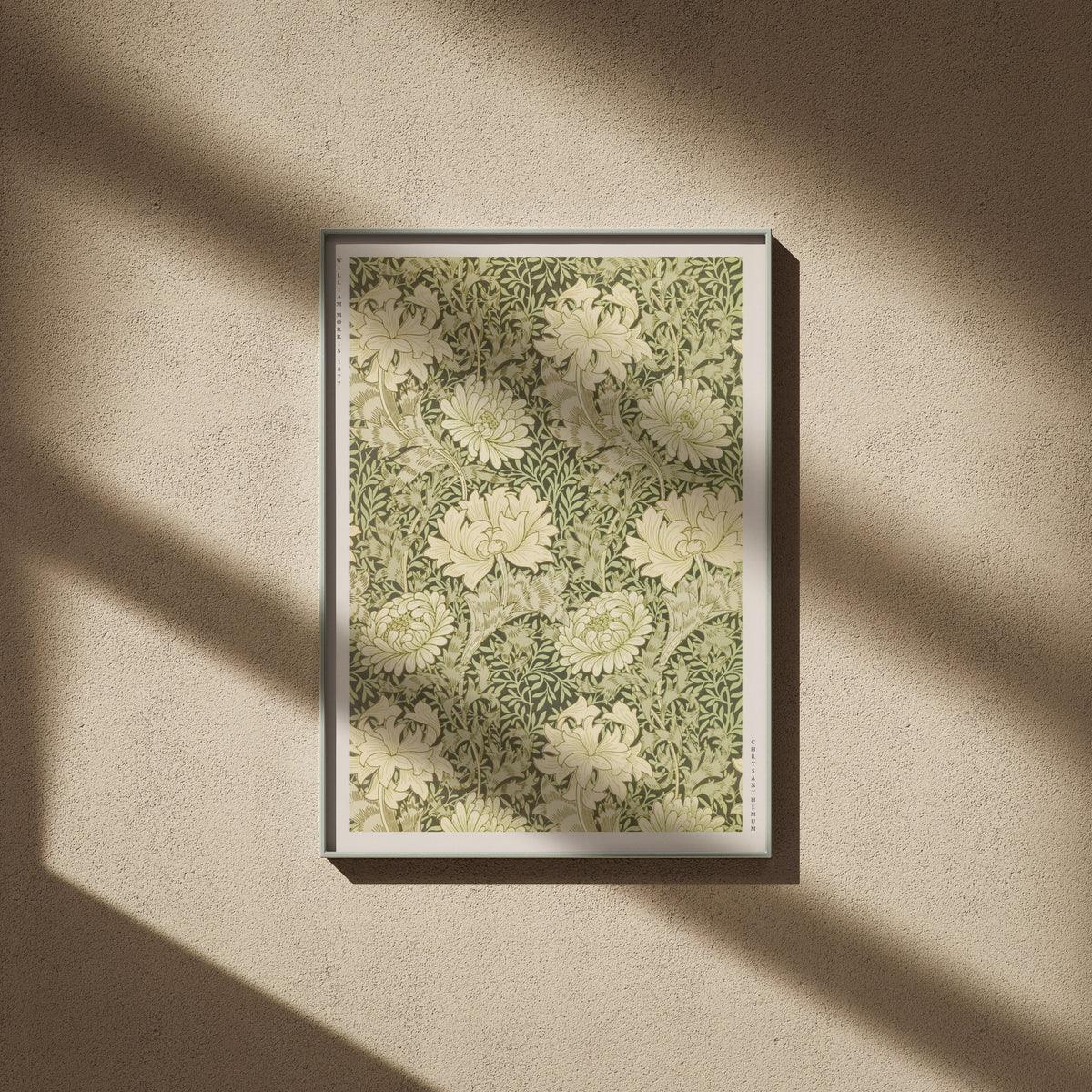 Chrysanthemum en 50x70, encadré sur un mur beige, ombres de fenêtre
