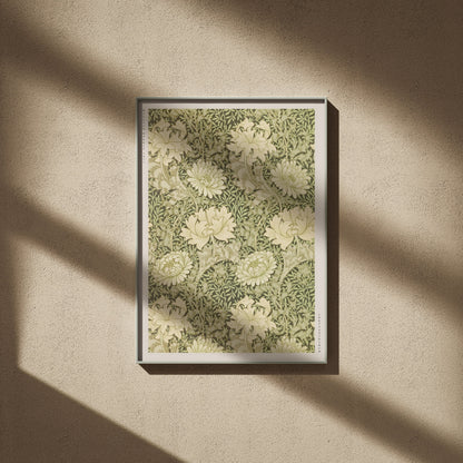 Chrysanthemum en 50x70, encadré sur un mur beige, ombres de fenêtre