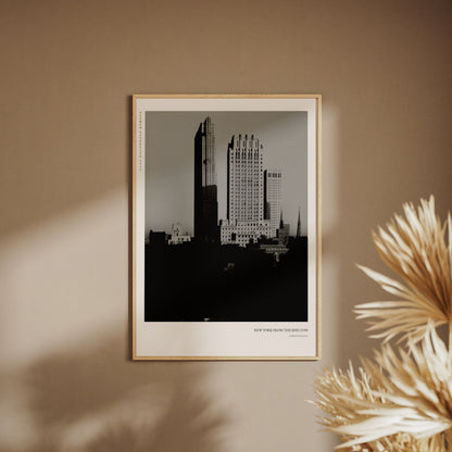 New York Shelton - Alfred Stieglitz - Affiche Photo d'Art, affiche encadrée sur un mur beige, pampas au premier plan
