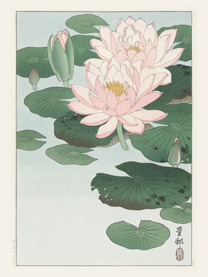Nymphéa Rose - Ohara Koson - Estampe Japonaise