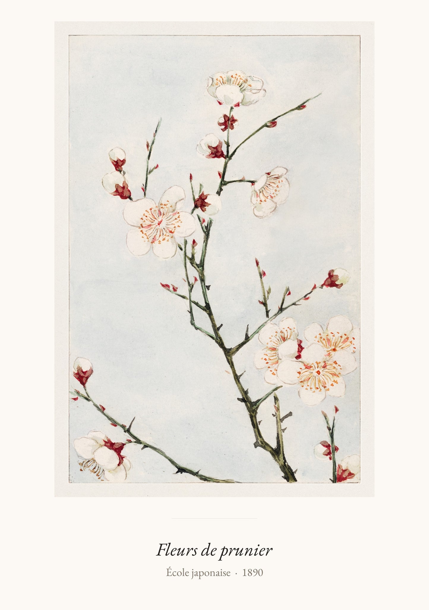 Fleurs de prunier, École japonaise | Affiche Art Premium