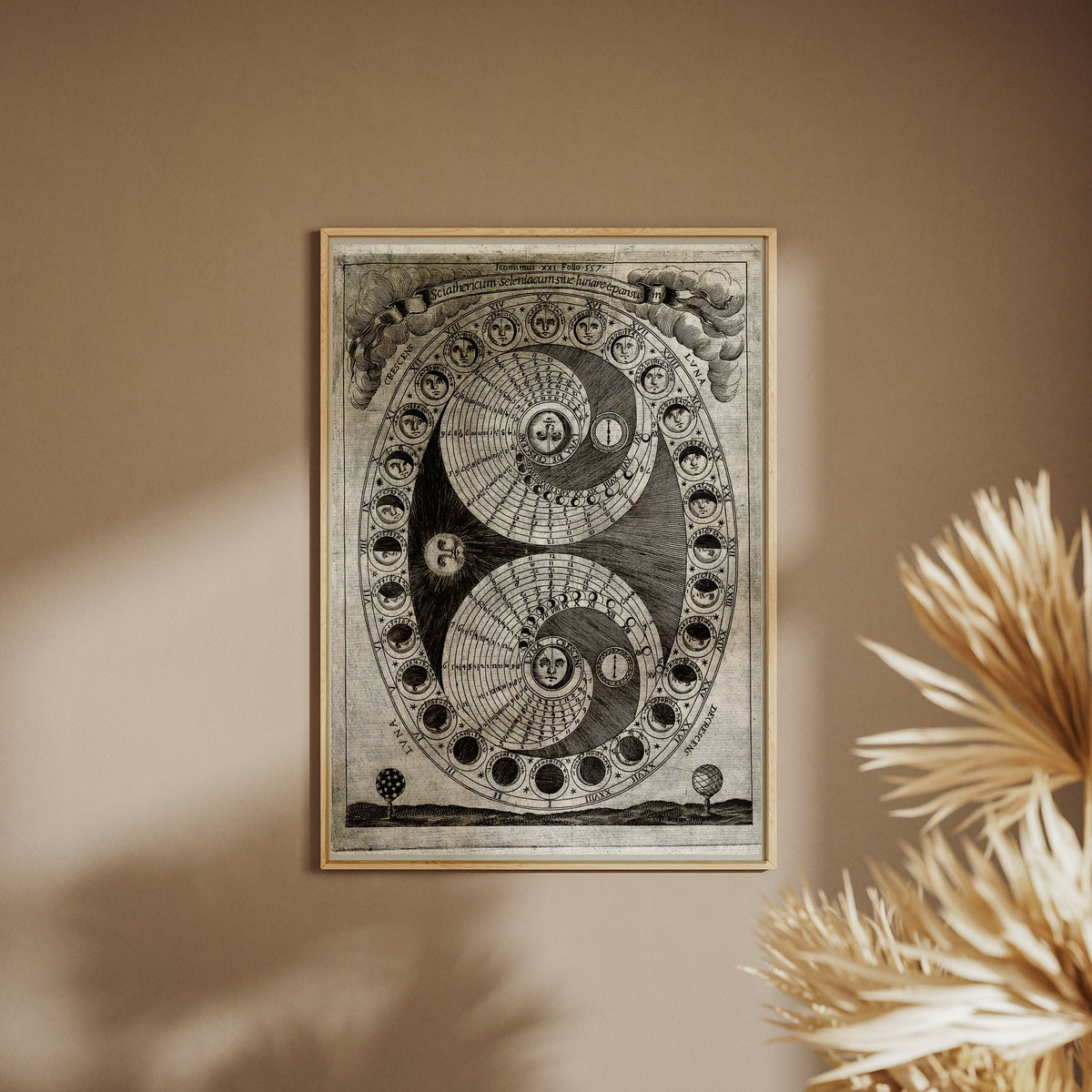 Sciathericum - Baroque Sundial - Vintage Science Poster, framed poster on a beige wall, pampas grass in the foreground