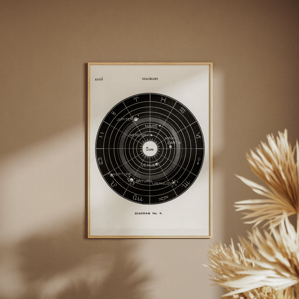 Systeme Solaire Diagram No.4 - Affiche Astronomie, affiche encadrée sur un mur beige, pampas au premier plan