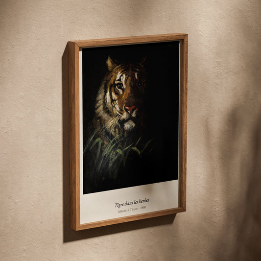 Tigre dans les herbes, Abbott H. Thayer, affiche dans un cadre en chêne posé de biais sur un mur texturé