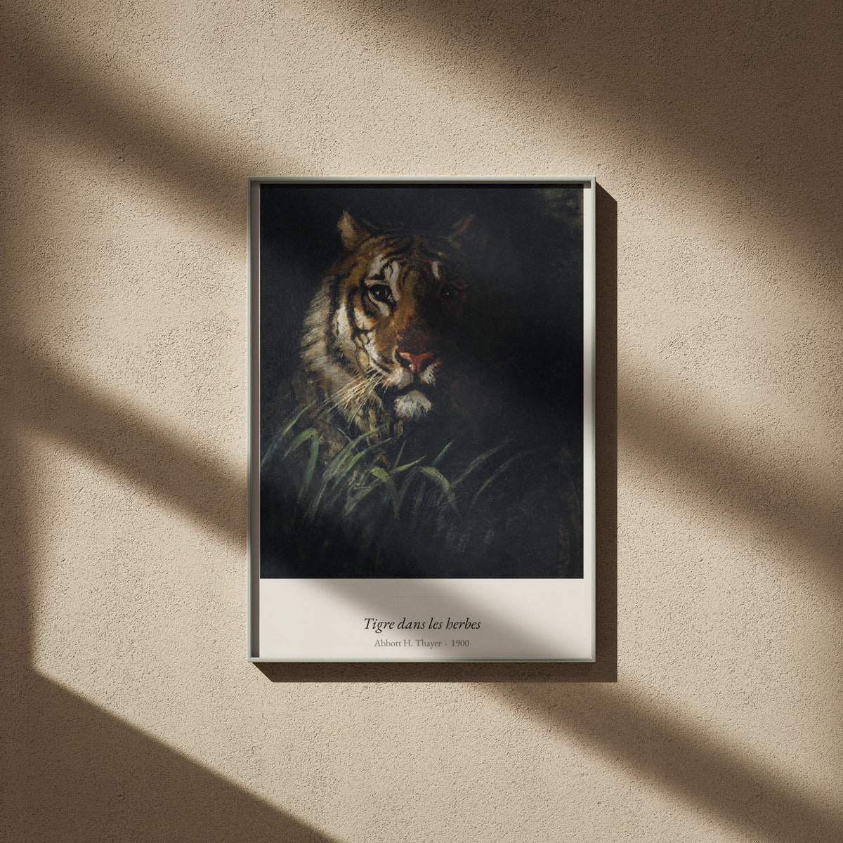 Tigre dans les herbes, Abbott H. Thayer, affiche encadrée sur un mur beige, ombres de fenêtre