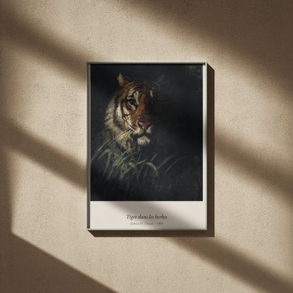 Tigre dans les herbes, Abbott H. Thayer, affiche encadrée sur un mur beige, ombres de fenêtre