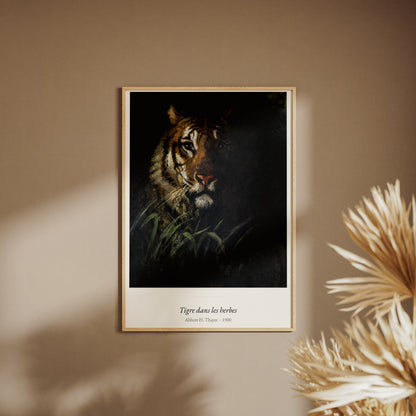 Tigre dans les herbes, Abbott H. Thayer, affiche encadrée sur un mur beige, pampas au premier plan