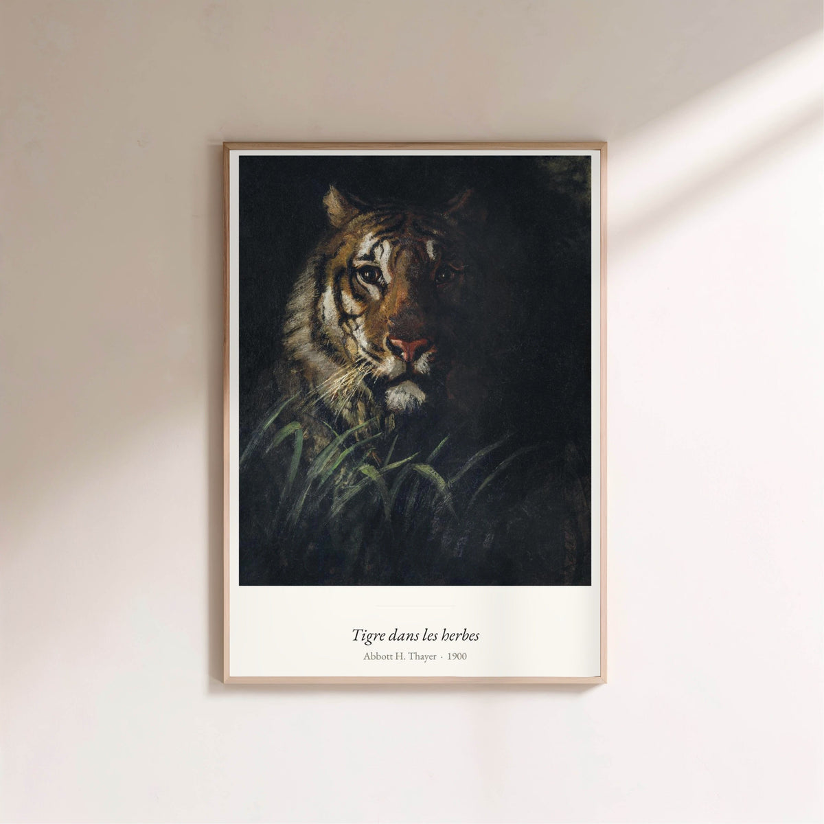 Tigre dans les herbes, Abbott H. Thayer, affiche encadrée sur un mur clair