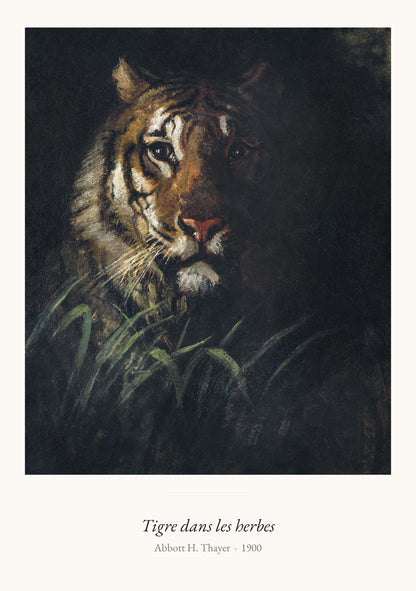 Tigre dans les herbes, Abbott H. Thayer | Affiche Art Premium