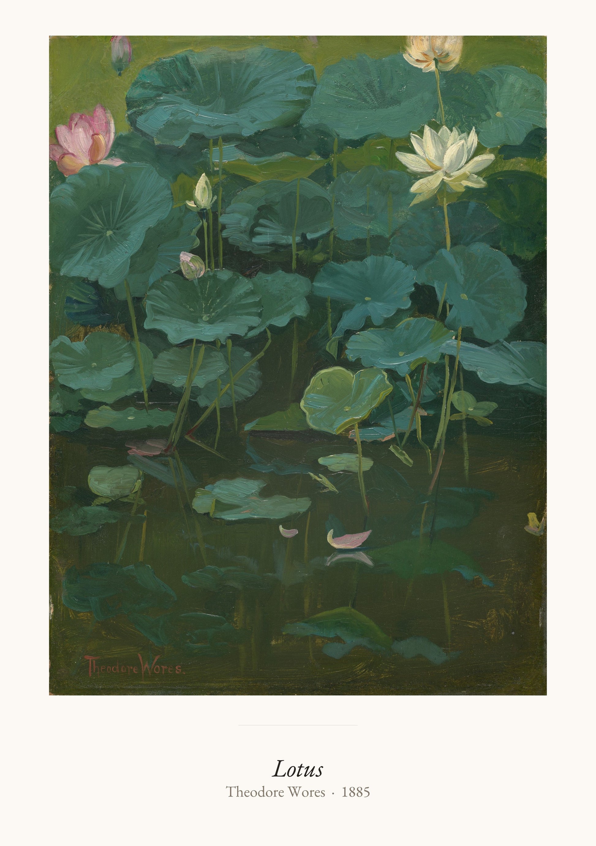 Lotus, Theodore Wores | Affiche Art Premium