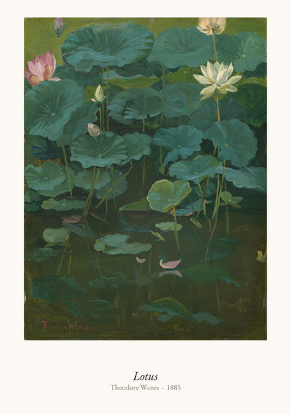 Lotus, Theodore Wores | Affiche Art Premium